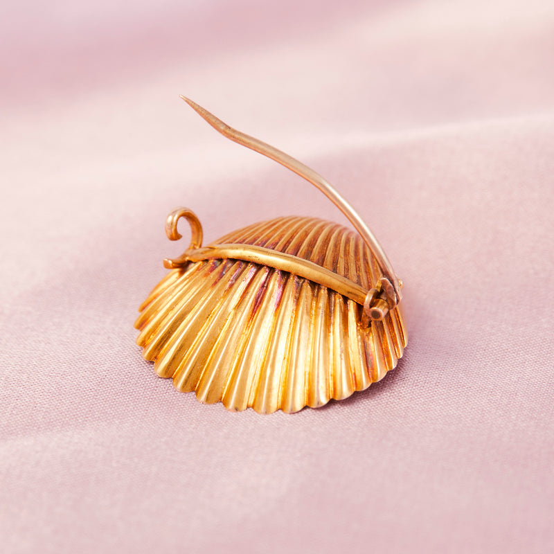 Antique Gold & Natural Pearl Cockle Shell Brooch