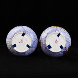 Pair of Royal Worcester Japonisme Aesthetic Vases